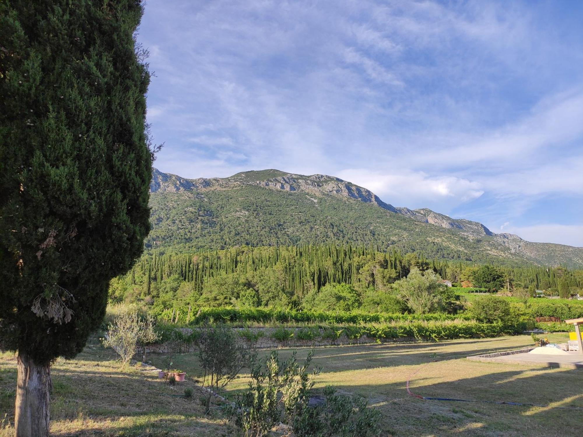 Country House Uros In Nature With Pool Lovorno Exterior photo